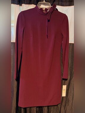 NWT Calvin Klein Women’s Long Sleeve Burgundy Sheath Dress